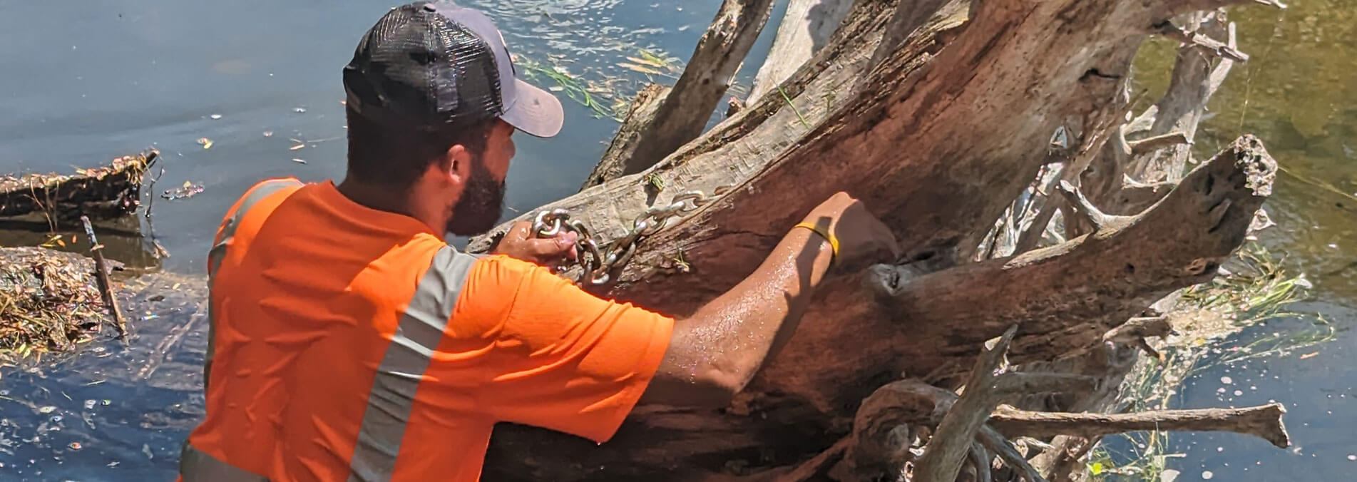 Clearing Tree Stump